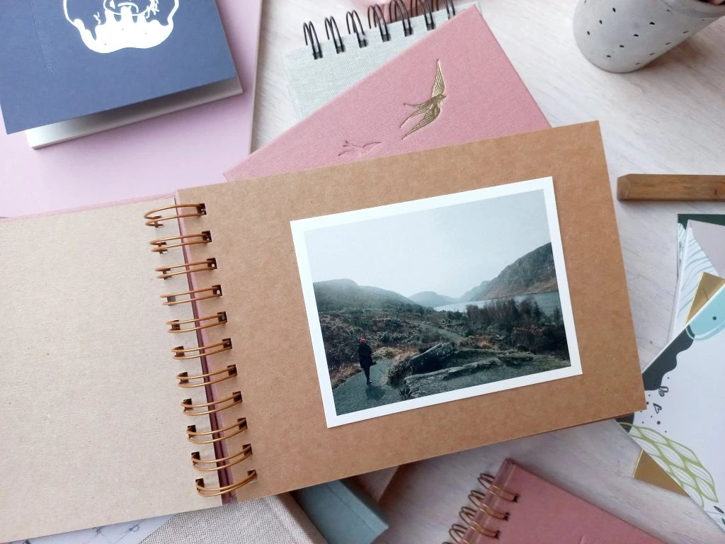 fotoalbum vlaštovky růžové