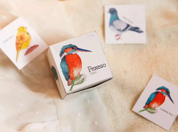 pexeso ~ ptáci